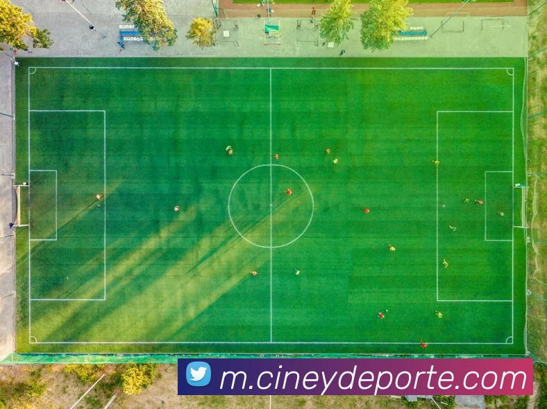 奖项图1